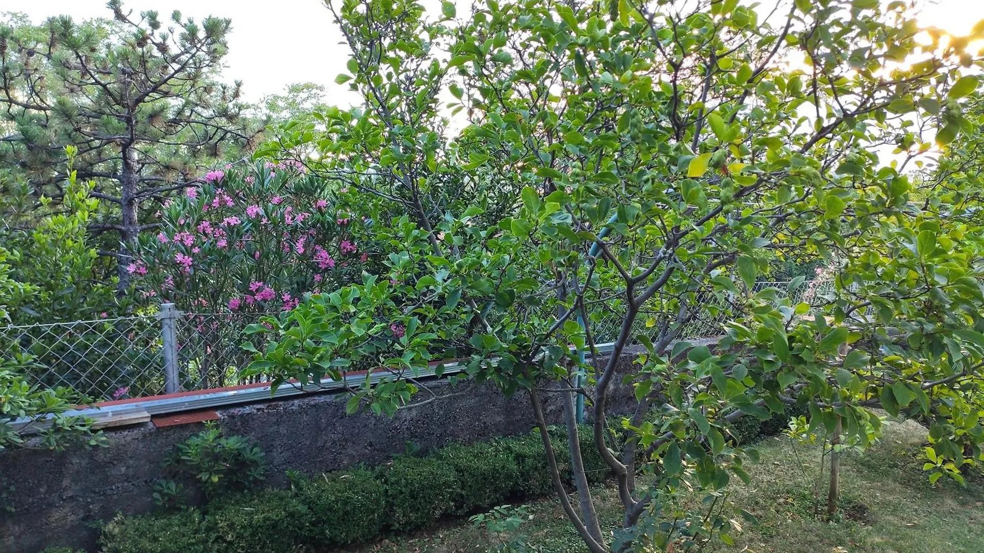 Apartment With Private Garden And The Terrace Ev Station Available Crikvenica 0*,  Croatia